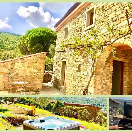 Bio Agriturismo Alba Etrusca Di Cortona - Organic Farmhouse- Appartamento Lavanda-Appartamento Rosmarino - Vasca Idromassaggio Esterna Poggioni Bagian luar foto