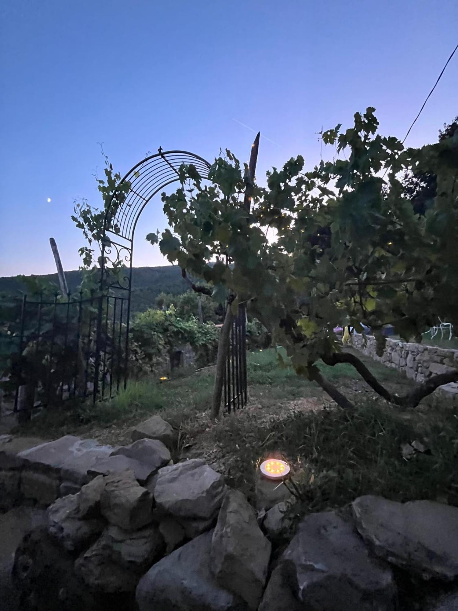 Bio Agriturismo Alba Etrusca Di Cortona - Organic Farmhouse- Appartamento Lavanda-Appartamento Rosmarino - Vasca Idromassaggio Esterna Poggioni Bagian luar foto