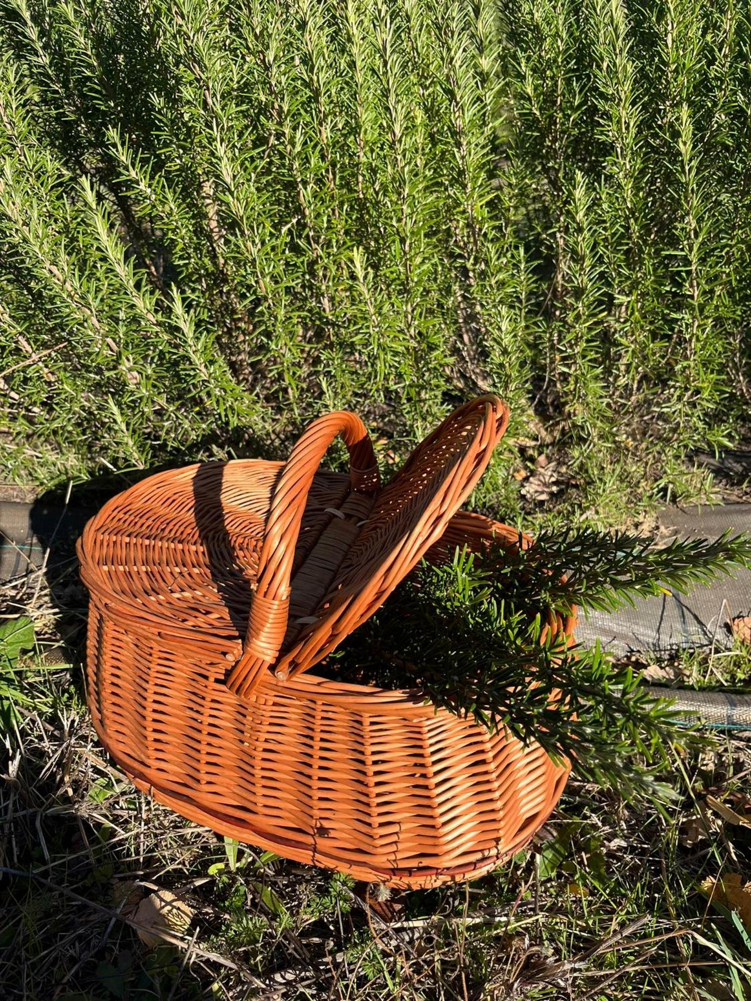 Bio Agriturismo Alba Etrusca Di Cortona - Organic Farmhouse- Appartamento Lavanda-Appartamento Rosmarino - Vasca Idromassaggio Esterna Poggioni Bagian luar foto