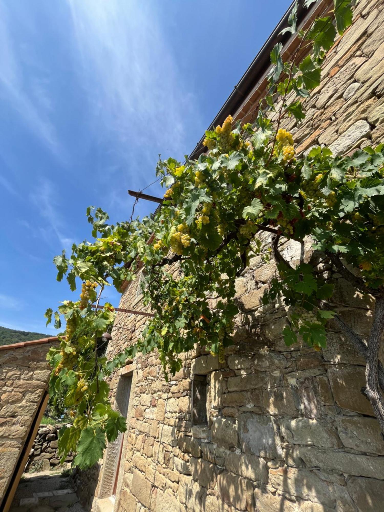 Bio Agriturismo Alba Etrusca Di Cortona - Organic Farmhouse- Appartamento Lavanda-Appartamento Rosmarino - Vasca Idromassaggio Esterna Poggioni Bagian luar foto